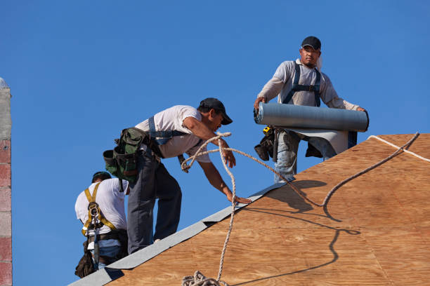 Roof Gutter Cleaning in Shell Valley, ND